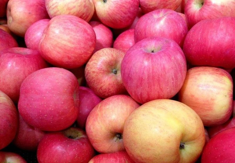 Brush Fruits Washing Cleaning Machinery Automatic Apple Washer Machine