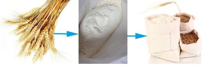 Wheat Flour Mill Production Line with Small Type 10 Ton Per Day