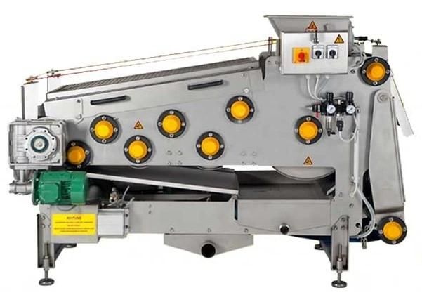 Apple Belt Press for Sale