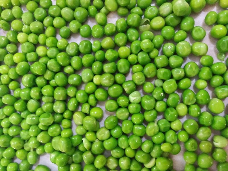 Conveyor Belt Blanching Machinery Continuous Pea Blanching Machine