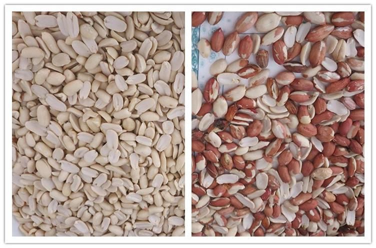 Factory Price Food Processing Machine Abd Peanut Color Sorting Machine Nut Color Sorter