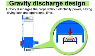 Batch Type Grain Dryer