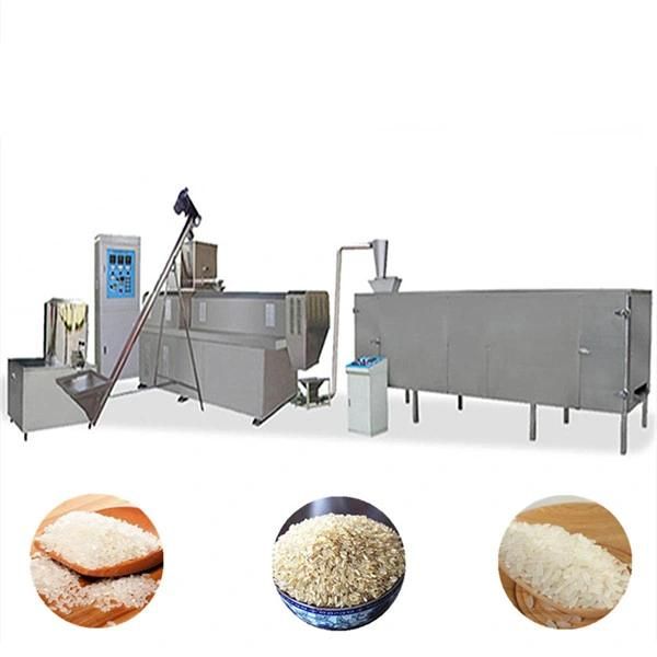 High Quality Nutritional Rice Making Machine