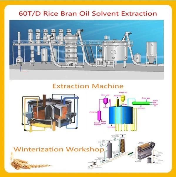 High Performance Rice Bran Cooking Oil Press Equipment
