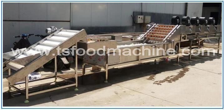 Automatic Continuous Conveyor Red Chilli and Pepper Washing Machine