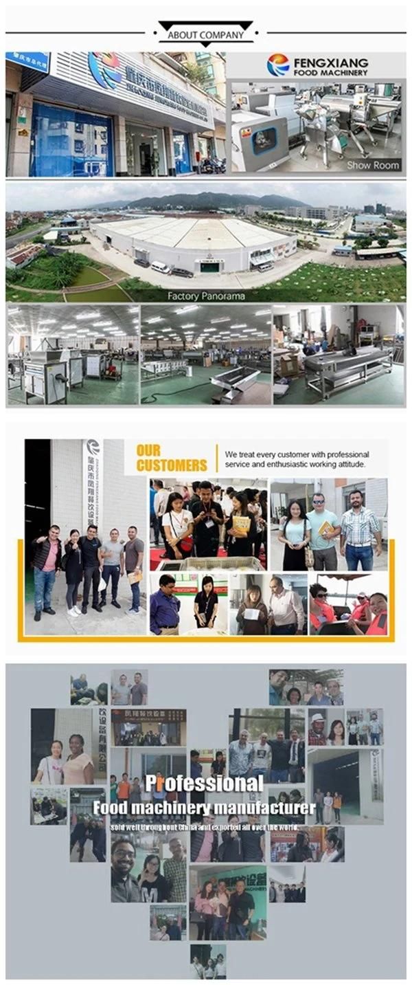 Ce Approved Industrial Automatic Garlic Clove Bulbs Extruding Squeeze Machine