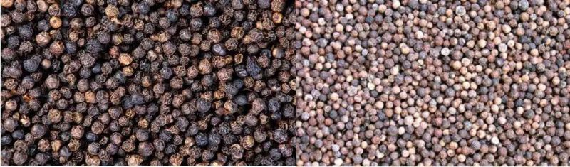 500kg Vegetable and Fruit Dryer Blueberries Dryer and Drying Machine