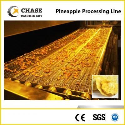 Automatic Pineapple Juice Puree Production Making Processing Line