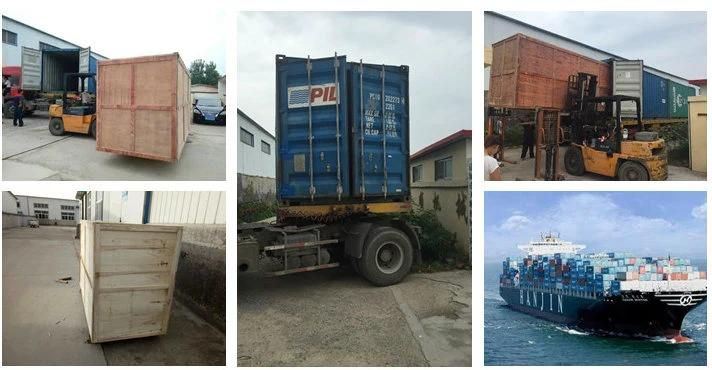 Automatic Beef Chicken Mixer and Tumbler Machine