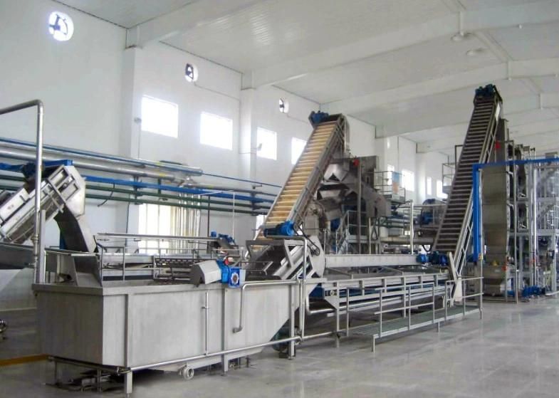 Fully Automatic Tomato Ketchup Production Line