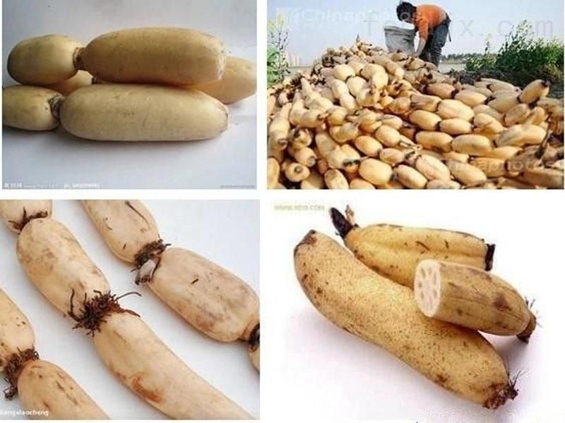 Electric Root Vegetable Washer Potato Carrot Brush Washing Peeling Cleaning Kitchen Machine