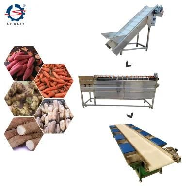 Brush Roller Potato Cleaning and Peeling Washing Processing Machine