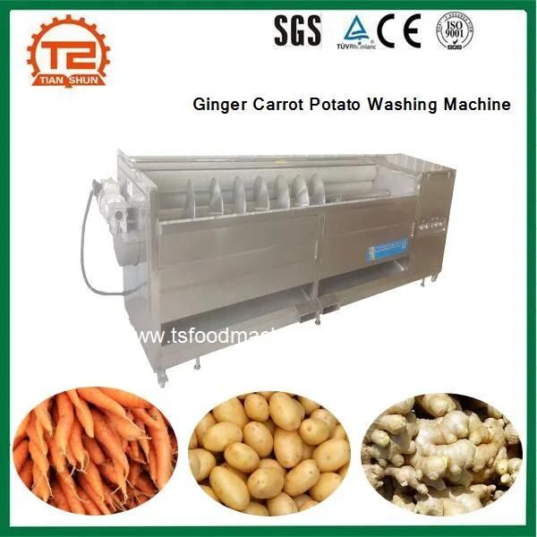 Vegetable Processing Machinery Ginger Carrot Potato Peeler Washing Machine
