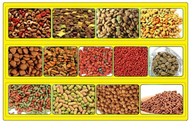Double Screw Dry Dog Food Making Machine Floating Fish Food Machine Pet Food Processing Equipment/Machine