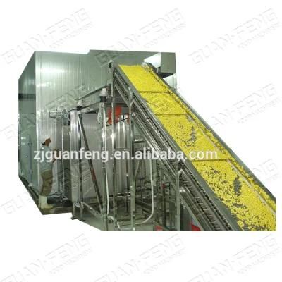 Hot Sale Fruits and Vegetables Quick Freezing Machine