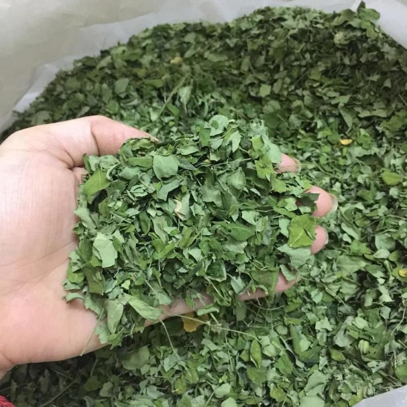 Dehydrating Machinery Drying Vegetable Industrial Tray Dryer Moringa Drying Machine