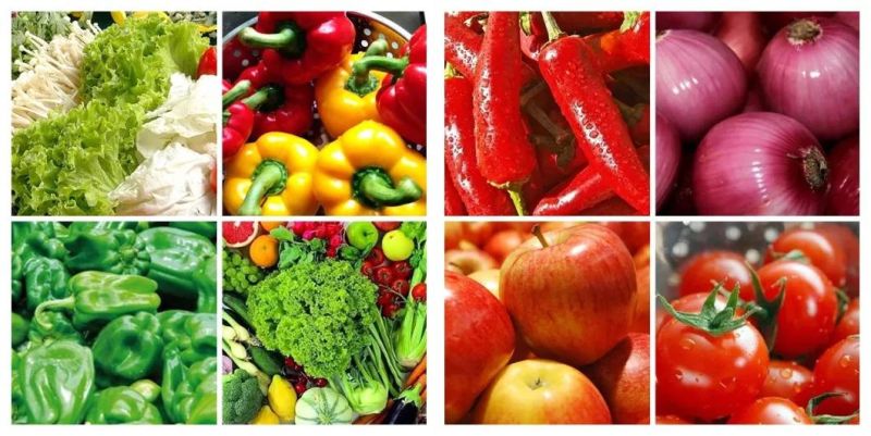 Commerical Vegetable Cleaning Bubble Washing Machine for Lettuce Tomato Carrot Cassava