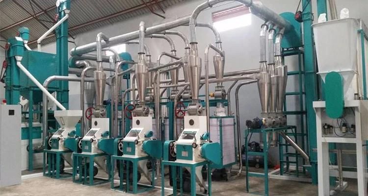 10t Per 24hours Maize Flour Mill Price China