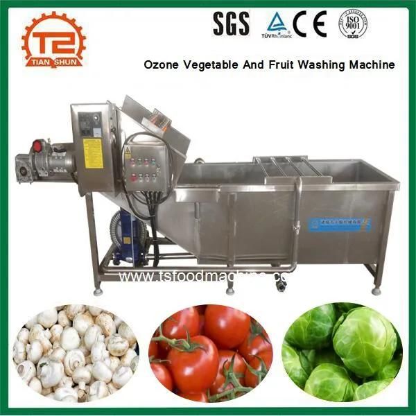 Commercial Ozone Vegetable and Fruit Washing Machine