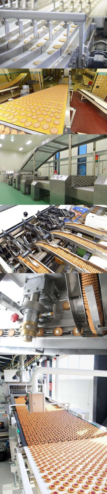 Mini Small Scale Biscuit Production Line for Sale