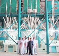 The Price of 200t Designed Wheat Flour Milling Machines Easy Operation with Advanced Technology for Africa