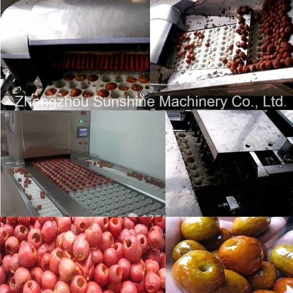 Stainless Steel Olive Maybush Pitter Hawthorn Pitter Dates Pitting Machine