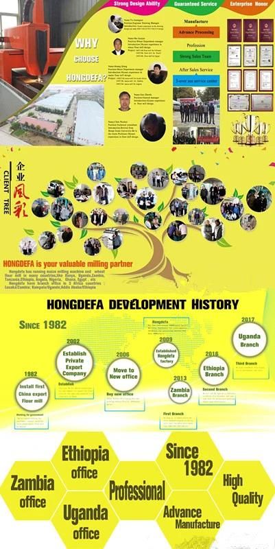 Hongdefa 30t Maize Mill Machinery Complete Processing Line
