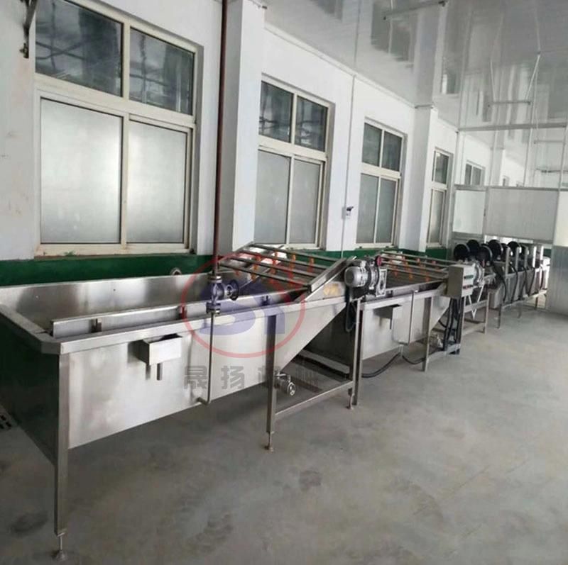 2020 Automative Food Fruit Vegetable Bubble Washing Conveying Machine