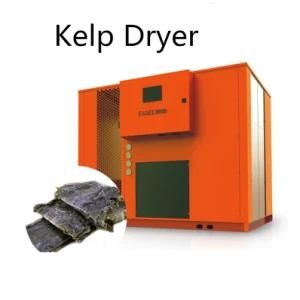 High Pressure R134A Dried Food Machine/ Kelp Dryer for Sale