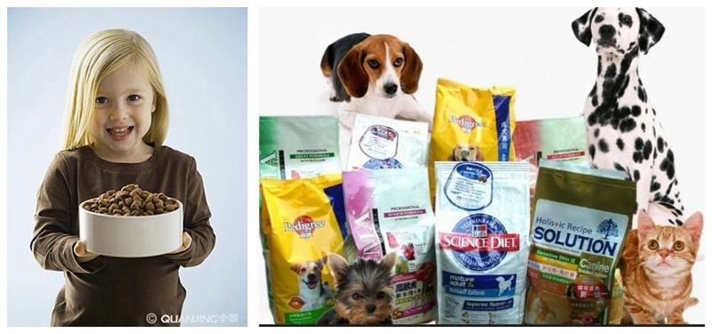 Best Quality Wet/Dry Dog Pet Food Fish Feed Production Line with Ce Certificate