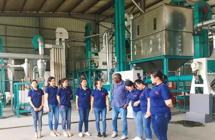 Factory Price Corn Flour Mill Machine for Fortified Sembe Dona