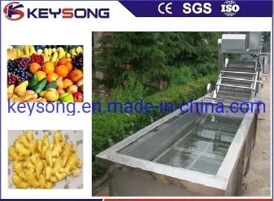 Ginger Air Bubble Washing Machinery