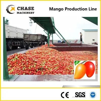 Mango Juice Jam Production Processing Making Line