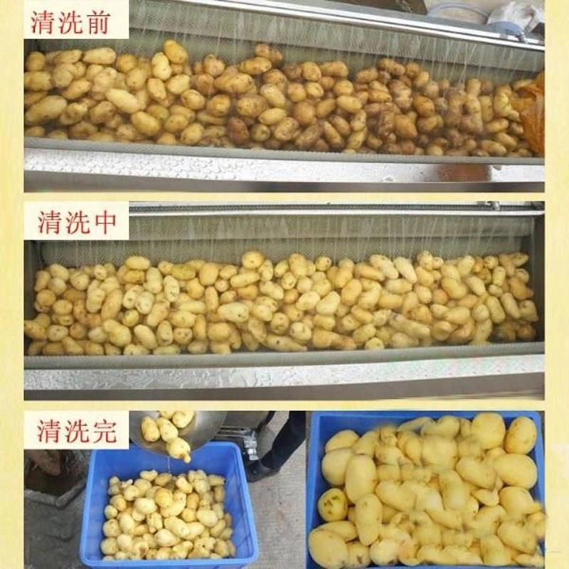 Food Processing Fruit and Vegetable Roller Brush Washing Machine Roller Type Washing Machine