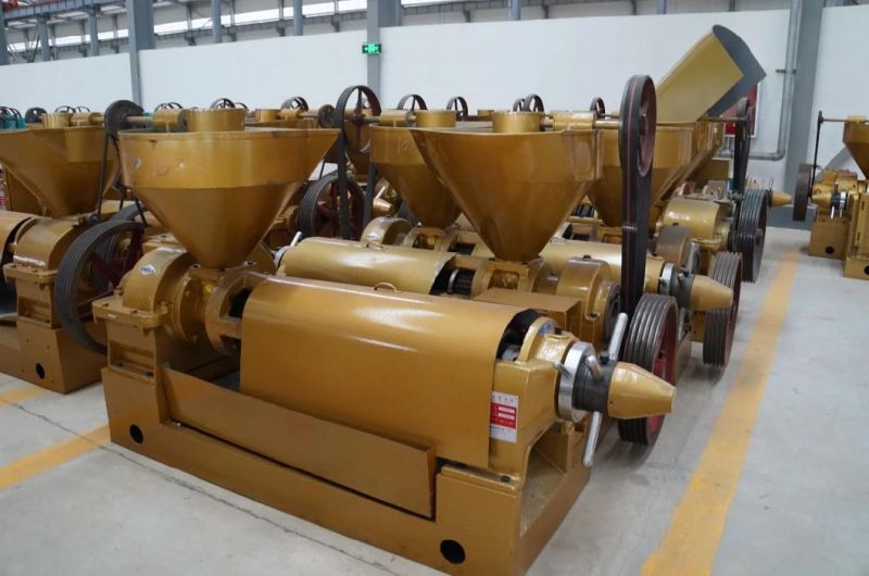 High Oil Yield 11tpd Screw Press Sunflower Cotton Sopybean Oil Press on Sale