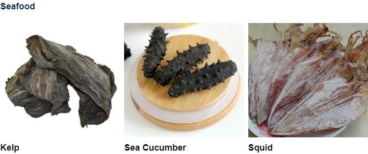 Mango Dehydrator Dryer Machine