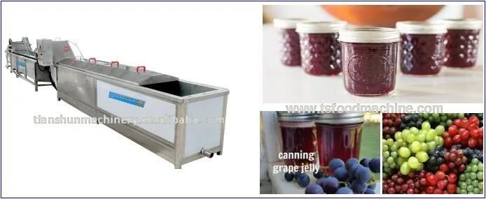 Grape Food Pasteurizer and Fruit Vegetable Pasteurization Machine