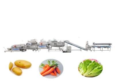 Microwave Continuous Vegetable Fruit Dryer Machine
