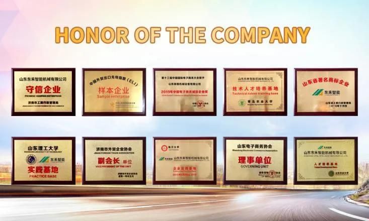 2021 Food Business Double Screw Extrusion Artificial Fortified Rice Making Process Machine Jinan Dg Machine Company