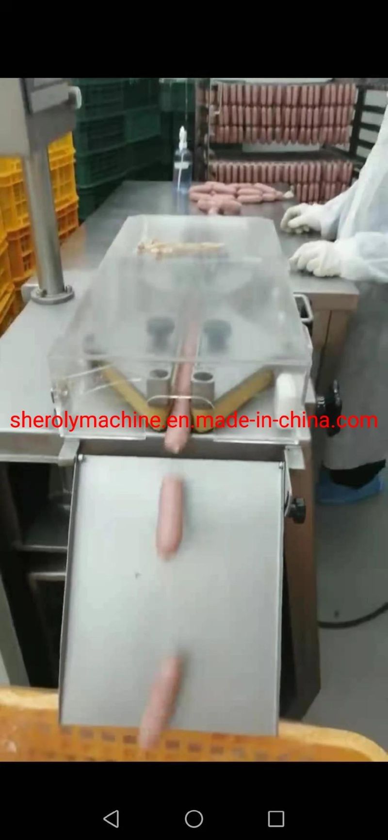 Stainless Steel Hot Dog Sausage Cutter Meat Cutter