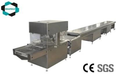 PLC Chocolate Bar Enrobing Production Line Tyj800