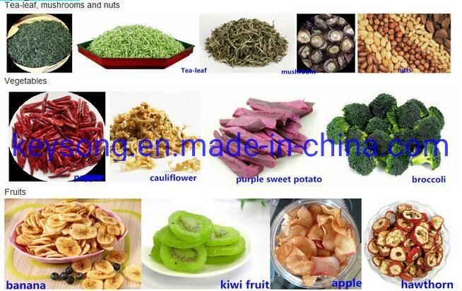 Tunnel Mesh Belt Ginger Chilli Vegetable Fruit Food Dryer