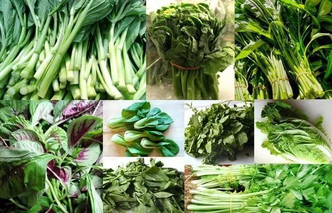 Leafy Vegetable Washing and Drying Line 3meter Spinach Cleaning Machine