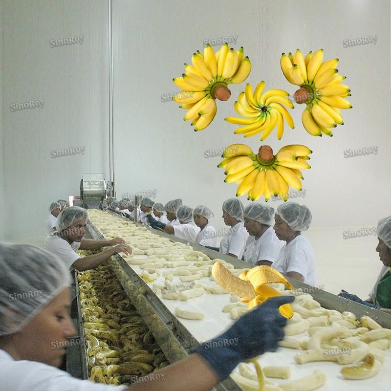Banana Wine Processing Line/Banana Juice Processing Line/Banana Processing Machine