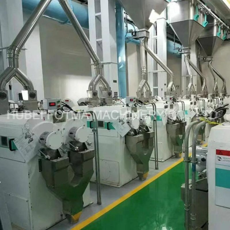300t/D Modern Complete Rice Milling Plant