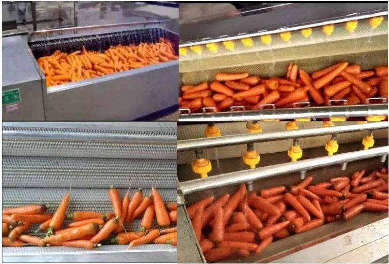 300 Kg/H Restaurant Electric Industrial Potato Beet Peeling Machine
