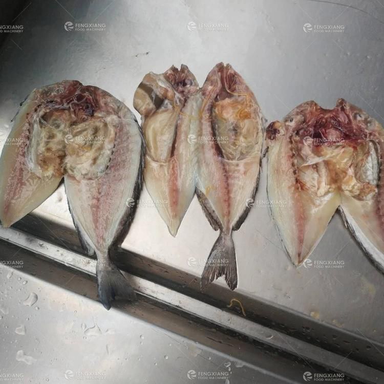 Fish Cutting Machine, Fish Fillet Machine, Fish Filleting