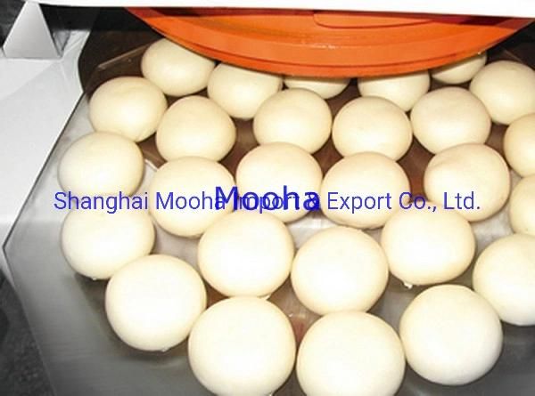Commercial Dough Mixer 48/68/88/122/240 Liters Bakery Machines 304 S/S Spiral Flour Stirring Machine Double Speeds Dough Mixer