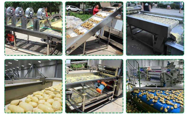 Good Quality Potato Processing Machines Potato Machines Potato Chips Machine