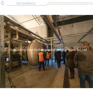 100m&sup2; Freeze Drying Machine for Fruit, Vegetable, Coffee, Meat